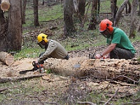 11-James and Graeme team up on the log